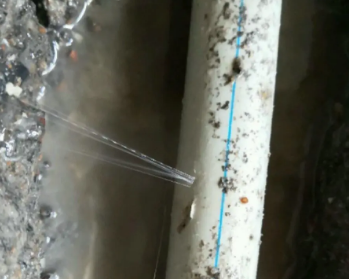 桦南卫生间测漏水多少钱